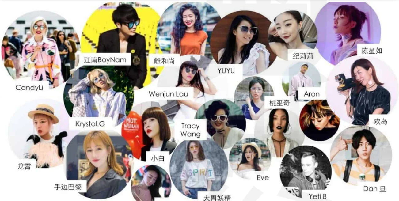 KOLs features in China's influencer marketing